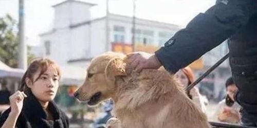 狗贩子卖狗视频,狗贩子残忍卖狗视频曝光