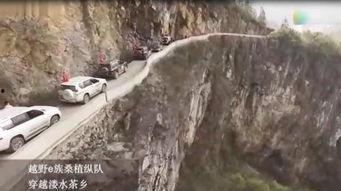 最新爆料 第3页