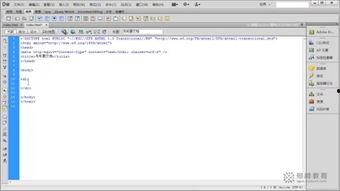dw8视频,揭秘其独特魅力与精彩内容