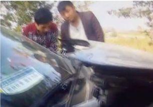 鸡拉车视频,揭秘动物界的独特劳动现象