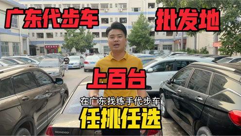 鸡拉车视频,揭秘动物界的独特劳动现象