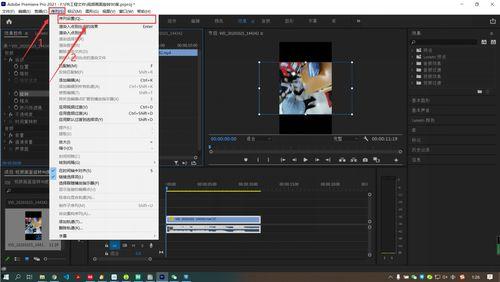 pr怎么旋转视频画面