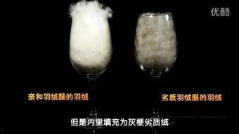 解剖女人视频,视频揭秘人体结构之美