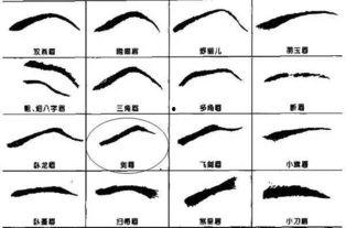 怎么画眉毛视频,轻松掌握画眉技巧