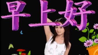 早上好视频,开启美好一天的心灵之旅