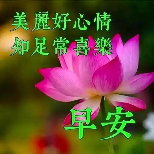 早上好视频,开启美好一天的心灵之旅