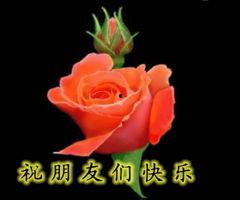 早上好视频,开启美好一天的心灵之旅