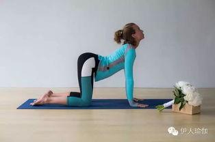 香薰瑜伽视频,身心放松的香气之旅