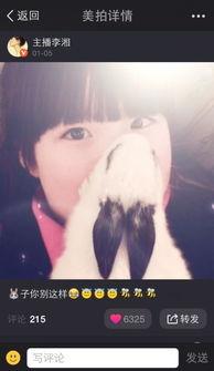 逗兔子视频,欢乐时光，萌宠互动