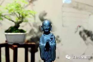 念佛成佛视频,视频揭秘修行之路